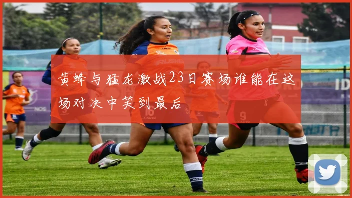 黄蜂与猛龙激战23日赛场谁能在这场对决中笑到最后