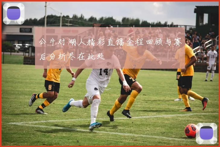 公牛对湖人精彩直播全程回顾与赛后分析尽在此处